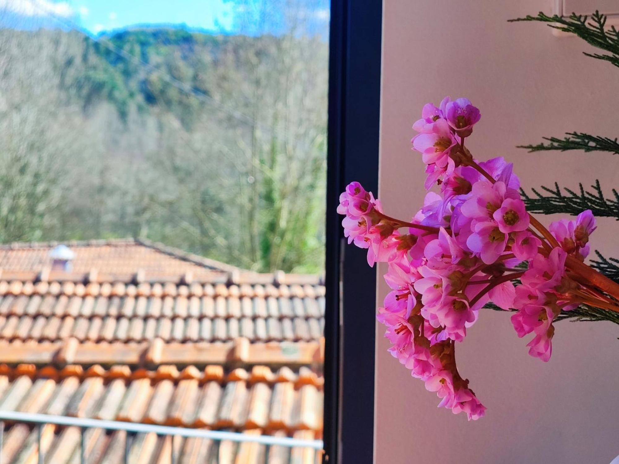 Agroturismo Quinta De Travancela Amarante Bagian luar foto