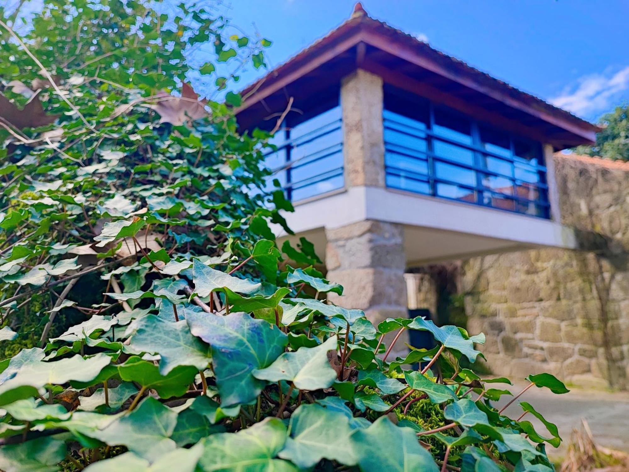 Agroturismo Quinta De Travancela Amarante Bagian luar foto